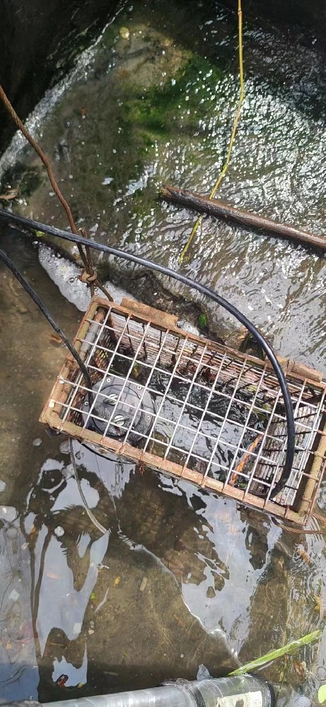 Malaysia Open-Channel Five-Parameter Water Quality Monitoring Case Study